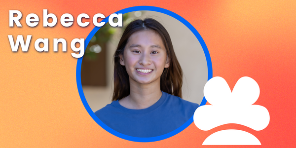 Interview with Rebecca Wang, Executive Director at Hydrangea Hacks